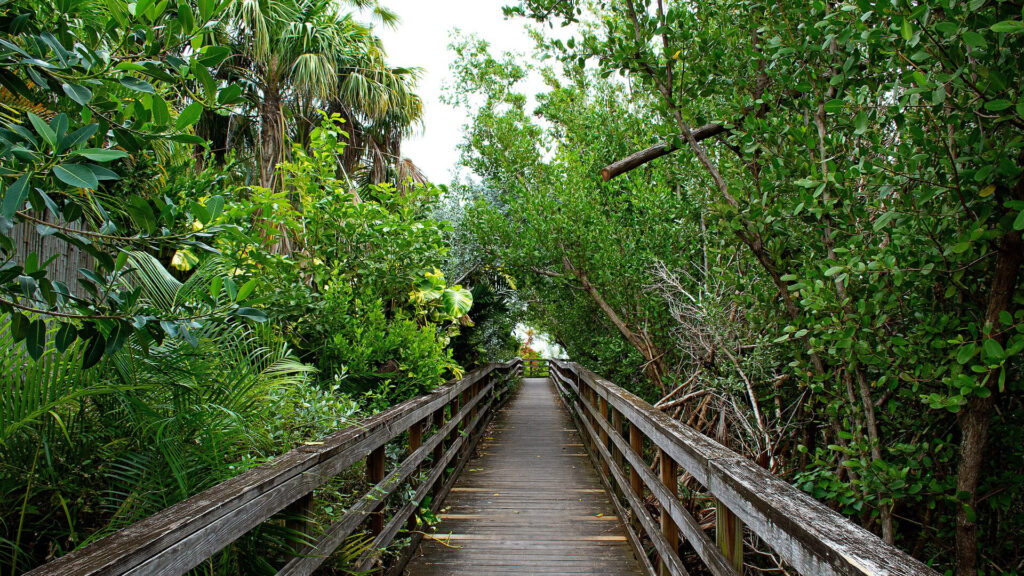 key west 4601331 1920 fotor 2024072311453 2